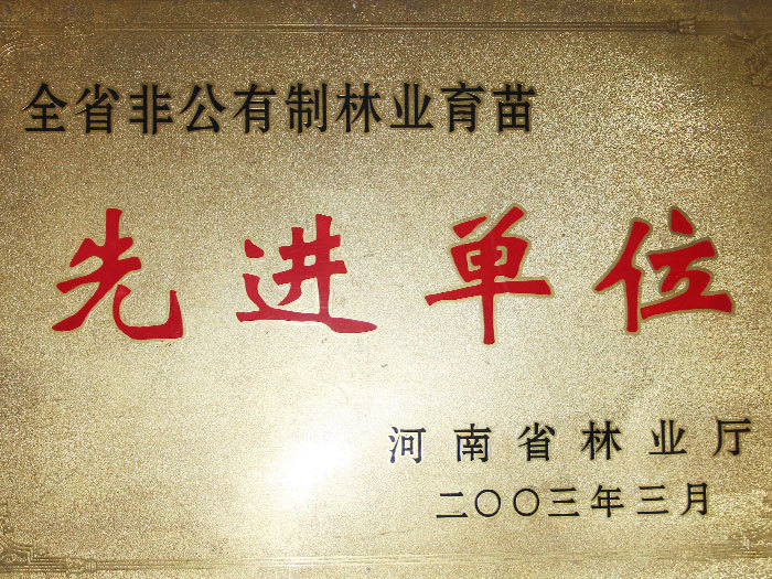 2003年3月，被评为全省非公有制林业育苗先进单位