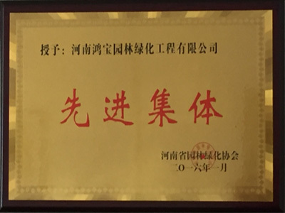 河南省园林绿化协会-2015年先进集体